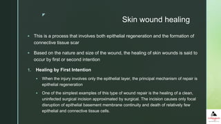 z
Skin wound healing
 This is a process that involves both epithelial regeneration and the formation of
connective tissue scar
 Based on the nature and size of the wound, the healing of skin wounds is said to
occur by first or second intention
1. Healing by First Intention
 When the injury involves only the epithelial layer, the principal mechanism of repair is
epithelial regeneration
 One of the simplest examples of this type of wound repair is the healing of a clean,
uninfected surgical incision approximated by surgical. The incision causes only focal
disruption of epithelial basement membrane continuity and death of relatively few
epithelial and connective tissue cells.
 