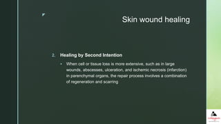 z
Skin wound healing
2. Healing by Second Intention
 When cell or tissue loss is more extensive, such as in large
wounds, abscesses, ulceration, and ischemic necrosis (infarction)
in parenchymal organs, the repair process involves a combination
of regeneration and scarring
 