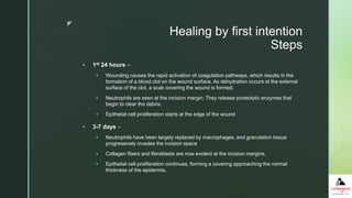 z
Healing by first intention
Steps
 1st 24 hours –
 Wounding causes the rapid activation of coagulation pathways, which results in the
formation of a blood clot on the wound surface. As dehydration occurs at the external
surface of the clot, a scab covering the wound is formed.
 Neutrophils are seen at the incision margin. They release proteolytic enzymes that
begin to clear the debris.
 Epithelial cell proliferation starts at the edge of the wound
 3-7 days –
 Neutrophils have been largely replaced by macrophages, and granulation tissue
progressively invades the incision space
 Collagen fibers and fibroblasts are now evident at the incision margins.
 Epithelial cell proliferation continues, forming a covering approaching the normal
thickness of the epidermis.
 