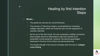 z
Healing by first intention
Steps
 Weeks –
 The epidermis recovers its normal thickness
 The process of “blanching” begins, accomplished by increasing
collagen deposition within the incisional scar and the regression of
vascular channels
 By the end of the first month, the scar comprises a cellular connective
tissue largely devoid of inflammatory cells and covered by an
essentially normal epidermis. However, the dermal appendages
destroyed in the line of the incision are permanently lost.
 The tensile strength of the wound increases with time due to collagen
cross linking
 