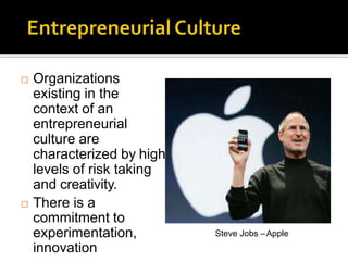 Organizations
existing in the
context of an
entrepreneurial
culture are
characterized by high
levels of risk taking
and creativity.
 There is a
commitment to
experimentation,
innovation
Steve Jobs –Apple
 
