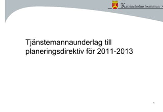 Tjänstemannaunderlag till
planeringsdirektiv för 2011-2013




                                   1
 
