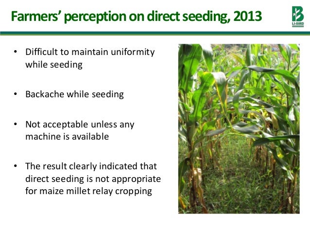 Sustainable Food Production: Improved agronomy: Option for ...