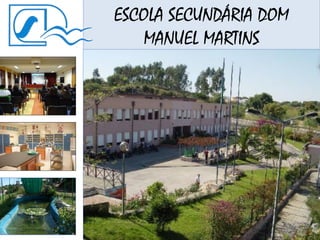 ESCOLA SECUNDÁRIA DOM
MANUEL MARTINS
A NOSSA ESCOLA
 