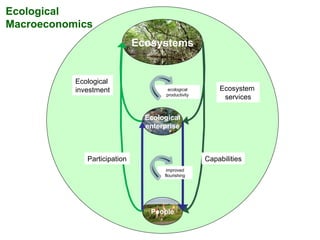 Ecological enterprise People Ecosystems Ecological  investment Ecosystem  services Participation Capabilities ecological productivity improved flourishing Ecological Macroeconomics  