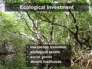 Ecological Investment low carbon transition ecological assets social goods decent livelihoods 