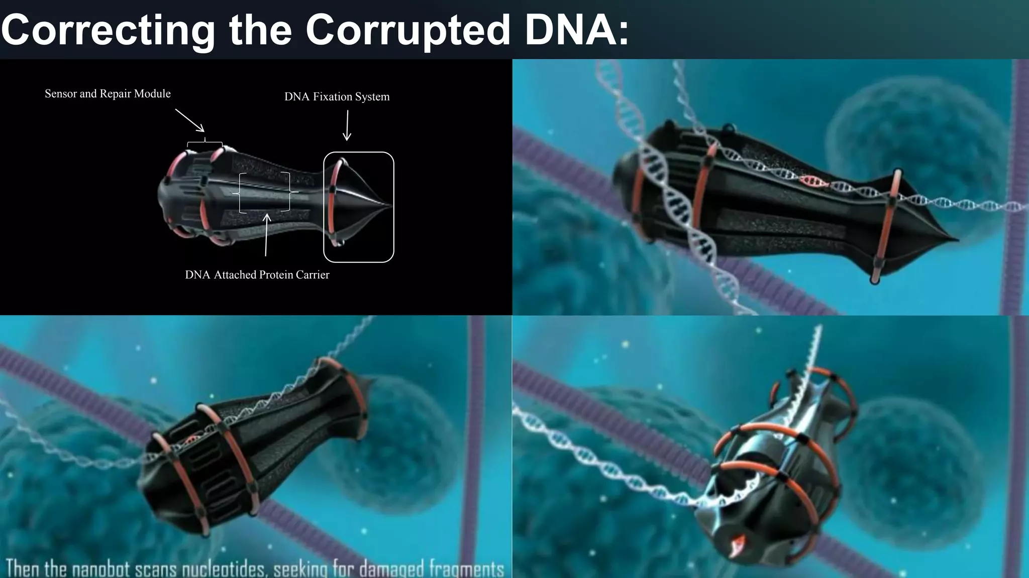 Correcting the Corrupted DNA:
Sensor and Repair Module
DNA Attached Protein Carrier
DNA Fixation System
 