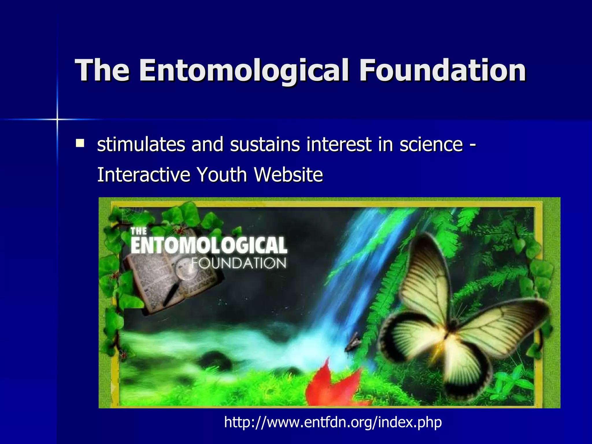 The Entomological Foundation   stimulates and sustains interest in science - Interactive Youth Website   http://www.entfdn.org/index.php 
