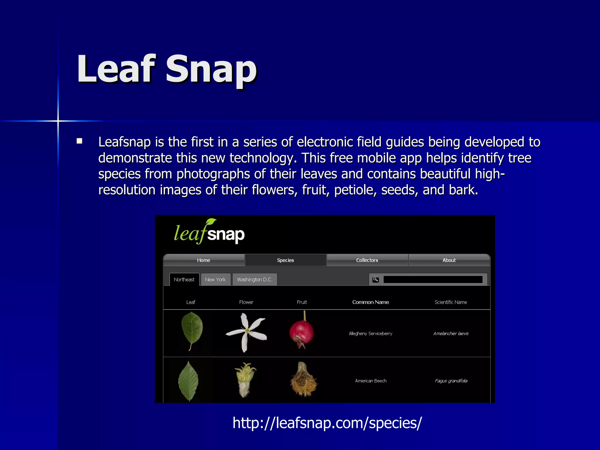 Leaf Snap Leafsnap is the first in a series of electronic field guides being developed to demonstrate this new technology. This free mobile app helps identify tree species from photographs of their leaves and contains beautiful high-resolution images of their flowers, fruit, petiole, seeds, and bark.  http://leafsnap.com/species/ 