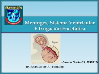Meninges, Sistema Ventricular 
E Irrigación Encefálica. 
•Carmín Durán C.I 16993160 
BARQUISIMETO OCTUBRE 2014 
 