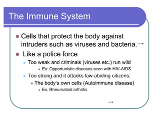 The Immune System
 Cells that protect the body against
intruders such as viruses and bacteria.
 Like a police force
 Too weak and criminals (viruses etc.) run wild
 Ex: Opportunistic diseases seen with HIV-AIDS
 Too strong and it attacks law-abiding citizens:
 The body¶s own cells (Autoimmune disease)
 Ex. Rheumatoid arthritis
 