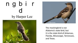 n g b i r
d
by Harper Lee
The mockingbird is not
Alabama’s state bird, but
it is the state bird of Arkansas,
Florida, Mississippi, Tennessee,
and Texas.

 