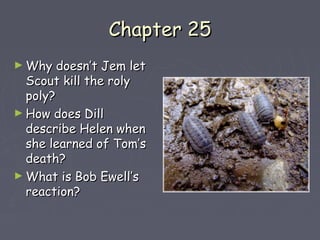 CChhaapptteerr 2255 
►WWhhyy ddooeessnn’’tt JJeemm lleett 
SSccoouutt kkiillll tthhee rroollyy 
ppoollyy?? 
►HHooww ddooeess DDiillll 
ddeessccrriibbee HHeelleenn wwhheenn 
sshhee lleeaarrnneedd ooff TToomm’’ss 
ddeeaatthh?? 
►WWhhaatt iiss BBoobb EEwweellll’’ss 
rreeaaccttiioonn?? 
 