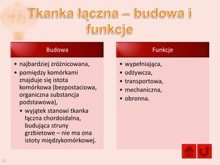 Budowa                            Funkcje

     • najbardziej zróżnicowana,    •   wypełniająca,
     • pomiędzy komórkami           •   odżywcza,
       znajduje się istota          •   transportowa,
       komórkowa (bezpostaciowa,    •   mechaniczna,
       organiczna substancja
                                    •   obronna.
       podstawowa),
       • wyjątek stanowi tkanka
         łączna chordoidalna,
         budująca struny
         grzbietowe – nie ma ona
         istoty międzykomórkowej.

11
 