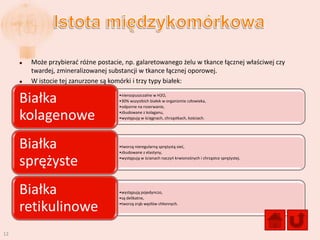    Może przybierad różne postacie, np. galaretowanego żelu w tkance łącznej właściwej czy
         twardej, zmineralizowanej substancji w tkance łącznej oporowej.
        W istocie tej zanurzone są komórki i trzy typy białek:

     Białka                           •nierozpuszczalne w H2O,
                                      •30% wszystkich białek w organizmie człowieka,
                                      •odporne na rozerwanie,

     kolagenowe                       •zbudowane z kolaganu,
                                      •występują w ścięgnach, chrząstkach, kościach.




     Białka                           •tworzą nieregularną sprężystą sied,
                                      •zbudowane z elastyny,

     sprężyste                        •występują w ścianach naczyo krwionośnych i chrząstce sprężystej.




     Białka                           •występują pojedynczo,
                                      •są delikatne,

     retikulinowe                     •tworzą zrąb węzłów chłonnych.




12
 