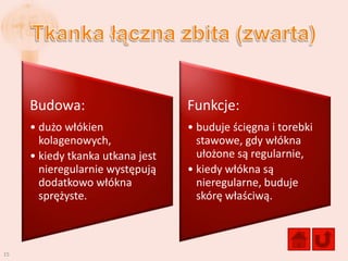 Budowa:                      Funkcje:
     • dużo włókien               • buduje ścięgna i torebki
       kolagenowych,                stawowe, gdy włókna
     • kiedy tkanka utkana jest     ułożone są regularnie,
       nieregularnie występują    • kiedy włókna są
       dodatkowo włókna             nieregularne, buduje
       sprężyste.                   skórę właściwą.



15
 