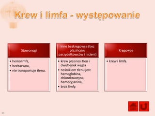 Inne bezkręgowce (bez
             Stawonogi                  płazioców,                   Kręgowce
                                 parzydełkowców i nicieni)
     • hemolimfa,                • krew przenosi tlen i      • krew i limfa.
     • bezbarwna,                  dwutlenek węgla
     • nie transportuje tlenu.   • nośnikiem tlenu jest
                                   hemoglobina,
                                   chlorokruoryna,
                                   hemocyjanina,
                                 • brak limfy.




30
 