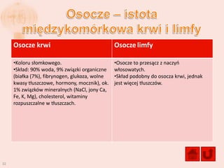 Osocze krwi                                Osocze limfy

     •Koloru słomkowego.                        •Osocze to przesącz z naczyo
     •Skład: 90% woda, 9% związki organiczne    włosowatych.
     (białka (7%), fibrynogen, glukoza, wolne   •Skład podobny do osocza krwi, jednak
     kwasy tłuszczowe, hormony, mocznik), ok.   jest więcej tłuszczów.
     1% związków mineralnych (NaCl, jony Ca,
     Fe, K, Mg), cholesterol, witaminy
     rozpuszczalne w tłuszczach.




32
 