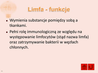    Wymienia substancje pomiędzy sobą a
         tkankami.
        Pełni rolę immunologiczną ze względu na
         występowanie limfocytów (stąd nazwa limfa)
         oraz zatrzymywanie bakterii w węzłach
         chłonnych.




36
 