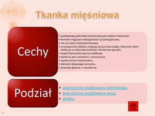 • podstawową jednostką funkcjonalną jest włókno mięśniowe,
               • komórki mogą byd wielojądrzaste luj jednojądrzaste,
               • nie ma istoty międzykomórkowej,
               • w cytoplazmie włókien znajdują się kurczliwe białka: filamenty, które

     Cechy       dzielą się na aktynowe (cienkie) i miozynowe (grube),
               • zespół filamentów tworzy miofibryle,
               • tkanka ta jest unerwiona i unaczyniona,
               • zawiera liczne mitochondria,
               • zdolnośd aktywnego kurczenia,
               • powstaje głównie z mezodermy.




               • poprzecznie prążkowana szkieletowa,
     Podział   • poprzecznie prążkowana serca,
               • gładka.


37
 