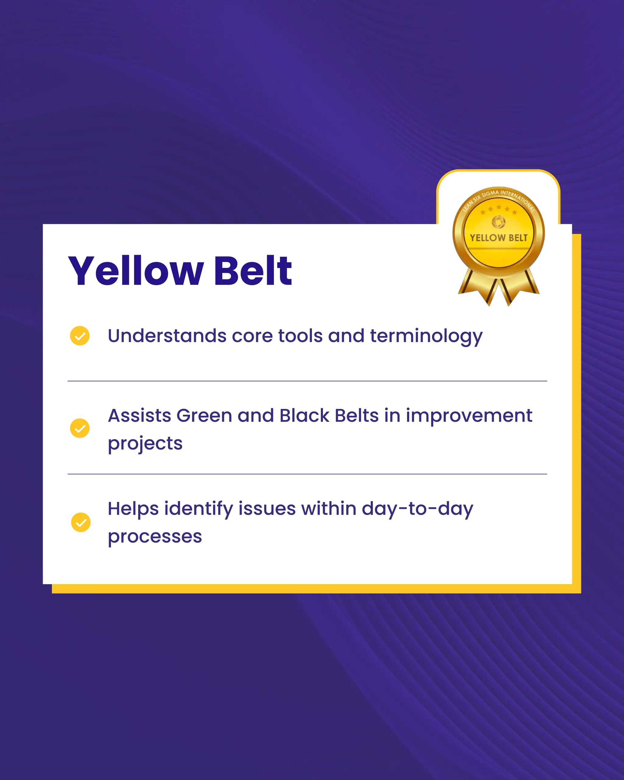 Problem Solving Belts A Simple Breakdown of Lean Six Sigma Belt Levels | PDF