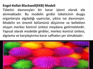 Engel-Kollat-Blackwell(EKB) Modeli
Tüketici davranışları bir karar işlemi olarak ele
alınmaktadır. Bu modelin girdisi tüketicinin duygu
organlarıyla algıladığı uyarıcılar, çıktısı ise davranıştır.
Modelin en önemli bölümünü düşünme ve bellekten
oluşan merkez kontrol ünitesi meydana getirmektedir.
Yapısal olarak modelde girdiler, merkez kontrol ünitesi,
algılama ve karşılaştırma karar safhaları yer almaktadır.
 