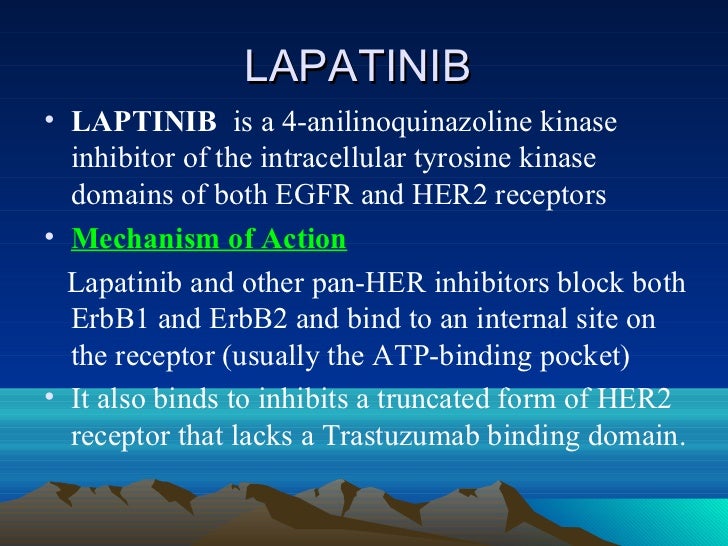 Tyrosine Kinase Inhibitor Mechanism Of Action
