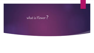 what is Flower ?