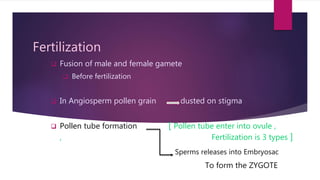 Fertilization
 Fusion of male and female gamete
 Before fertilization
 In Angiosperm pollen grain dusted on stigma
 Pollen tube formation [ Pollen tube enter into ovule ,
, Fertilization is 3 types ]
Sperms releases into Embryosac
To form the ZYGOTE
 