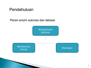 Pendahuluan Peran enzim sukrose dan laktase Metabolisme glukose Membentuk Energi Disimpan 