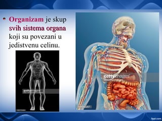 Organizam je skup
svih sistema organasvih sistema organa
koji su povezani u
jedistvenu celinu.
 