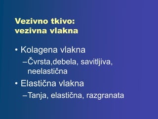 • Kolagena vlakna
–Čvrsta,debela, savitljiva,
neelastična
• Elastična vlakna
–Tanja, elastična, razgranata
Vezivno tkivo:
vezivna vlakna
 