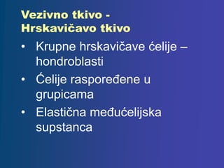 Vezivno tkivo -
Hrskavičavo tkivo
• Krupne hrskavičave ćelije –
hondroblasti
• Ćelije raspoređene u
grupicama
• Elastična međućelijska
supstanca
 