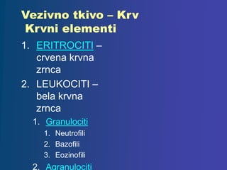 Vezivno tkivo – Krv
Krvni elementi
1. ERITROCITI –
crvena krvna
zrnca
2. LEUKOCITI –
bela krvna
zrnca
1. Granulociti
1. Neutrofili
2. Bazofili
3. Eozinofili
2. Agranulociti
 