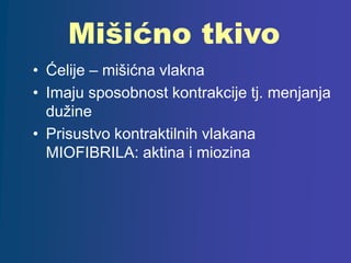 Mišićno tkivo
• Ćelije – mišićna vlakna
• Imaju sposobnost kontrakcije tj. menjanja
dužine
• Prisustvo kontraktilnih vlakana
MIOFIBRILA: aktina i miozina
 