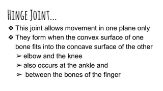 Types of skeletal joints in the human body | PPT