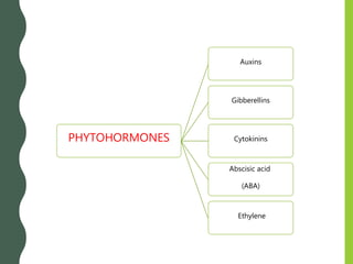 PHYTOHORMONES
Auxins
Gibberellins
Cytokinins
Abscisic acid
(ABA)
Ethylene
 