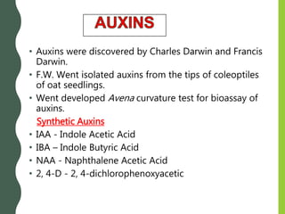 • Auxins were discovered by Charles Darwin and Francis
Darwin.
• F.W. Went isolated auxins from the tips of coleoptiles
of oat seedlings.
• Went developed Avena curvature test for bioassay of
auxins.
Synthetic Auxins
• IAA - Indole Acetic Acid
• IBA – Indole Butyric Acid
• NAA - Naphthalene Acetic Acid
• 2, 4-D - 2, 4-dichlorophenoxyacetic
 