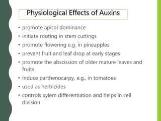 • promote apical dominance
• initiate rooting in stem cuttings
• promote flowering e.g. in pineapples
• prevent fruit and leaf drop at early stages
• promote the abscission of older mature leaves and
fruits
• induce parthenocarpy, e.g., in tomatoes
• used as herbicides
• controls xylem differentiation and helps in cell
division
 
