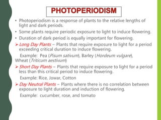 • Photoperiodism is a response of plants to the relative lengths of
light and dark periods.
• Some plants require periodic exposure to light to induce flowering.
• Duration of dark period is equally important for flowering.
Long Day Plants − Plants that require exposure to light for a period
exceeding critical duration to induce flowering.
Example: Pea (Pisum sativum), Barley (Hordeum vulgare),
Wheat (Triticum aestivum)
Short Day Plants − Plants that require exposure to light for a period
less than this critical period to induce flowering.
Example: Rice, Jowar, Cotton
Day Neutral Plants − Plants where there is no correlation between
exposure to light duration and induction of flowering.
Example: cucumber, rose, and tomato
 