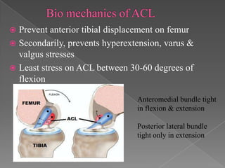 Prevent anterior tibial displacement on femur
 Secondarily, prevents hyperextension, varus &
valgus stresses
 Least stress on ACL between 30-60 degrees of
flexion


Anteromedial bundle tight
in flexion & extension
Posterior lateral bundle
tight only in extension

 