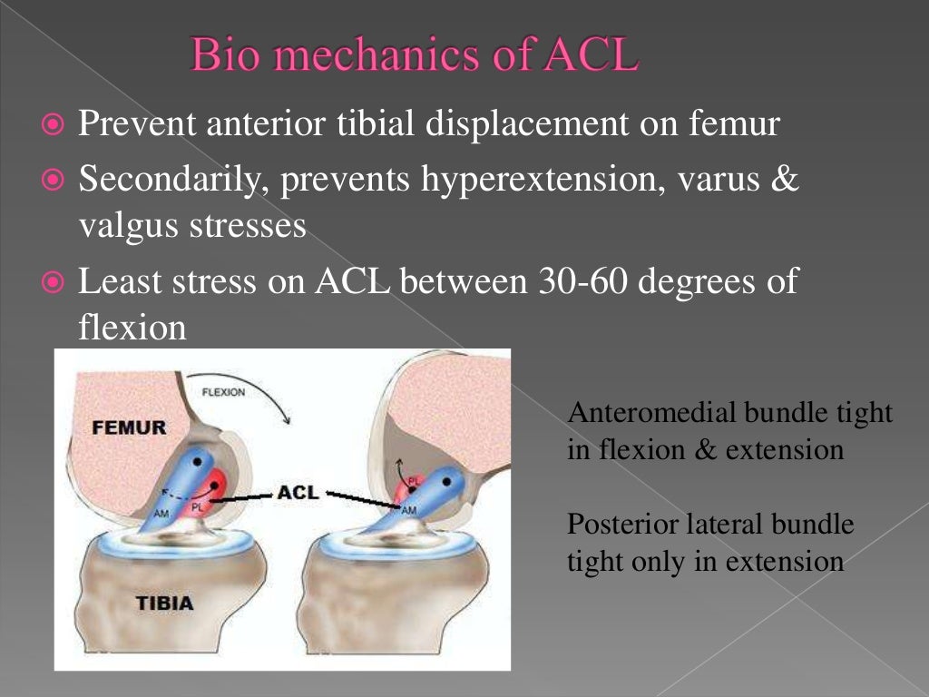 knee biomechanics