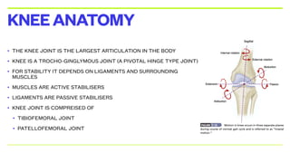 • THE KNEE JOINT IS THE LARGEST ARTICULATION IN THE BODY
• KNEE IS A TROCHO-GINGLYMOUS JOINT (A PIVOTAL HINGE TYPE JOINT)
• FOR STABILITY IT DEPENDS ON LIGAMENTS AND SURROUNDING
MUSCLES
• MUSCLES ARE ACTIVE STABILISERS
• LIGAMENTS ARE PASSIVE STABILISERS
• KNEE JOINT IS COMPREISED OF
• TIBIOFEMORAL JOINT
• PATELLOFEMORAL JOINT
KNEEANATOMY
 