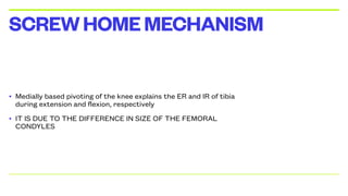 • Medially based pivoting of the knee explains the ER and IR of tibia
during extension and flexion, respectively
• IT IS DUE TO THE DIFFERENCE IN SIZE OF THE FEMORAL
CONDYLES
SCREWHOMEMECHANISM
 