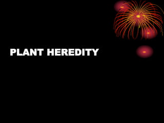 PLANT HEREDITY
 