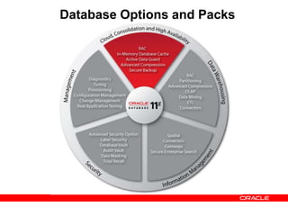 Database Options | PPTX