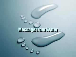 Message from Water Message from Water 
