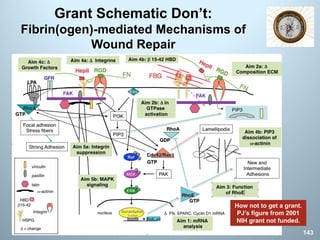 Grant Schematic Don’t:
Fibrin(ogen)-mediated Mechanisms of
Wound Repair
143
How not to get a grant.
PJ’s figure from 2001
NIH grant not funded.
 