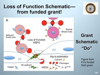 Loss of Function Schematic—
from funded grant!
145
Grant
Schematic
“Do”
Figure from
PJ’s funded
DoD grant.
 