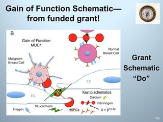 Gain of Function Schematic—
from funded grant!
133
Grant
Schematic
“Do”
 